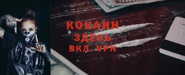 ПСИЛОЦИБИНОВЫЕ ГРИБЫ Карталы