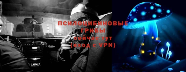 ПСИЛОЦИБИНОВЫЕ ГРИБЫ Карталы