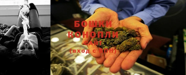 мет Карпинск