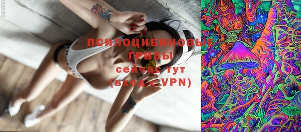 ПСИЛОЦИБИНОВЫЕ ГРИБЫ Карталы