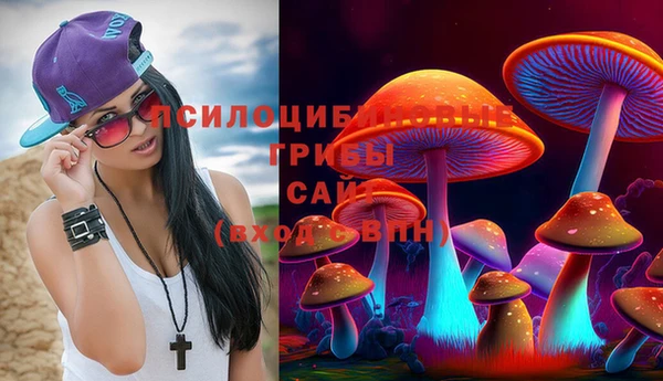spice Касимов