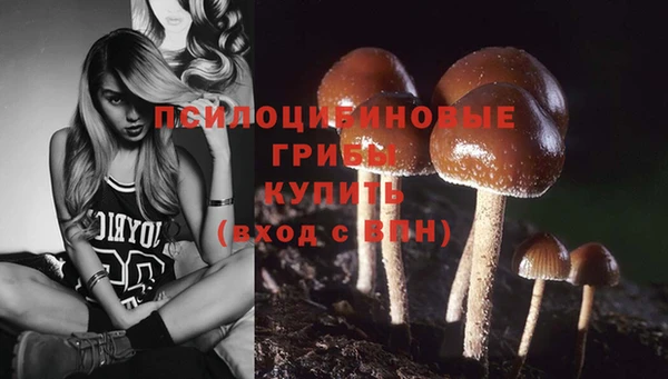 мет Карпинск
