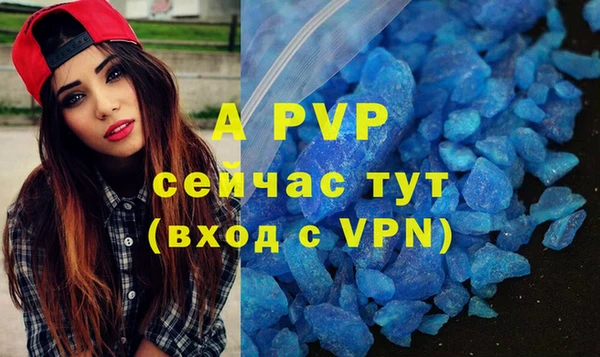 ПСИЛОЦИБИНОВЫЕ ГРИБЫ Карталы